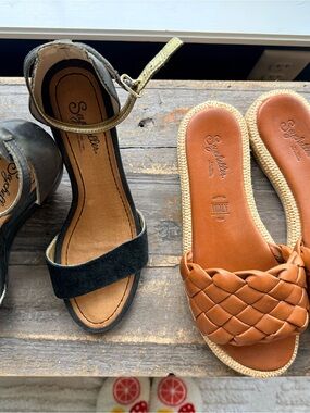 Seychelles Bundle: Black Suede Ankle-Strap Sandal with Gold Buckle & Brown Flats